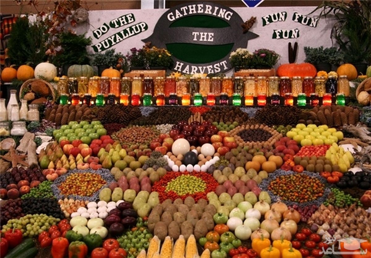 خانم میوه فروش اینطوری از مشتری هاش کلاهبرداری می کرد +فیلم