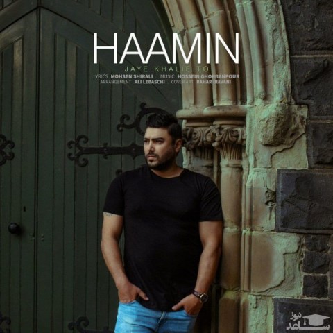 دانلود آهنگ جای خالی تو از هامین