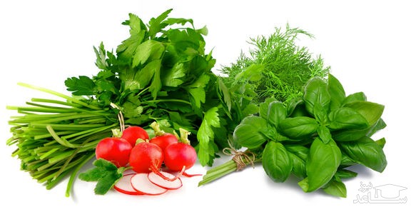 روش نگهداری سبزی خوردن به مدت یک هفته