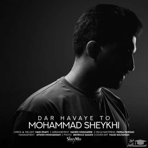 دانلود آهنگ در هوای تو از محمد شیخی