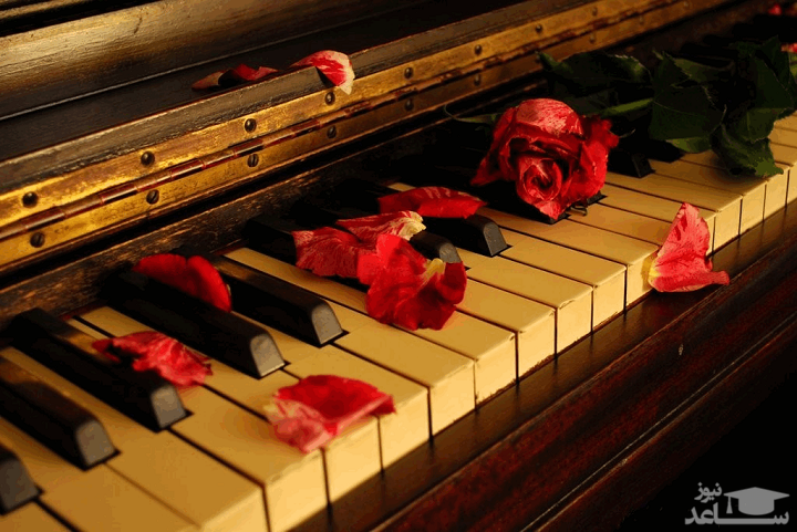 بهترین پیانوها برای نوازندگی کدامند؟