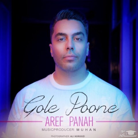 دانلود آهنگ گل پونه از عارف پناه