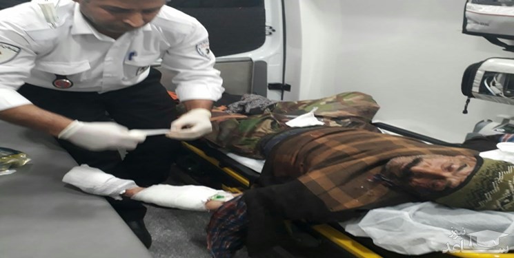 حمله پلنگ به یک چوپان در منطقه کندوان