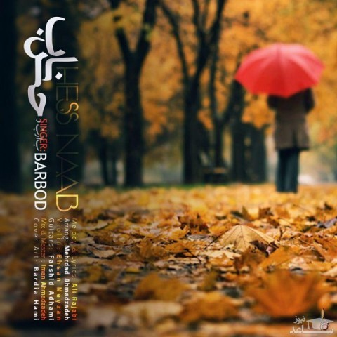 دانلود آهنگ حس ناب از باربد