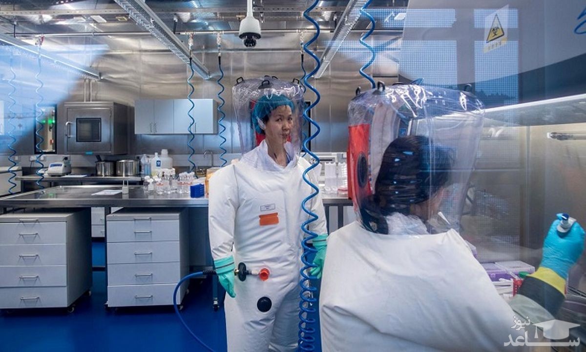 افشای پشت‌پرده آزمایشگاهی که جهان را به‌هم ریخت/ منشا همه گیری کووید 19