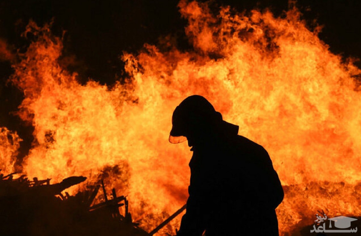 جزئیات حادثه آتش سوزی در پارک جنگلی چیتگر