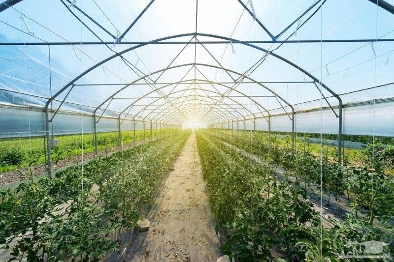 نحوه ساخت گلخانه در 6 مرحله ساده و راحت