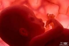 بهترین نوشیدنی ها برای زنان باردار