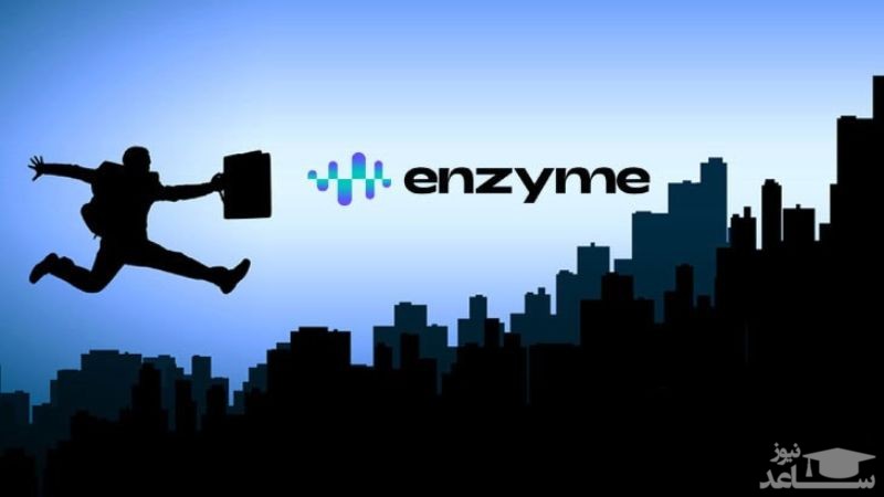 ارز دیجیتال Enzyme