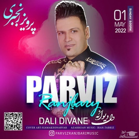 دانلود آهنگ دلی دیوانه از پرویز رنجبری