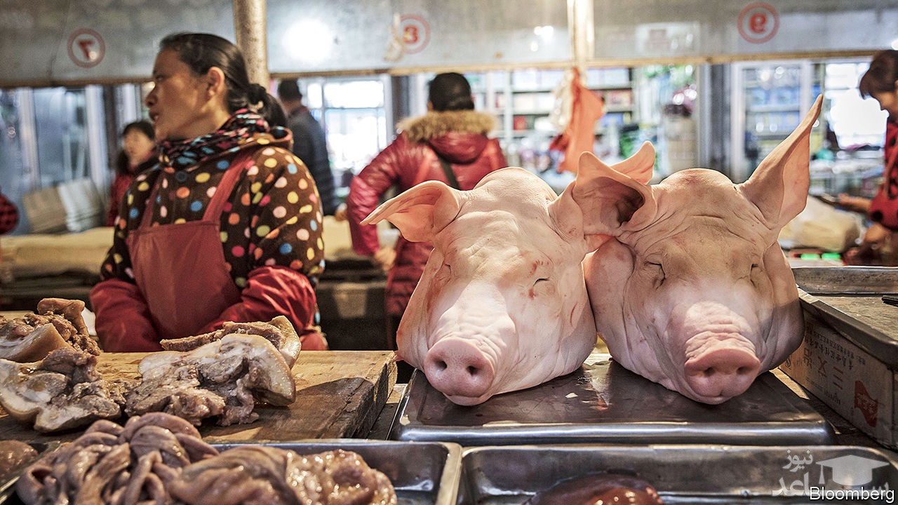 آنفلوانزای خوکی در ایران؟
