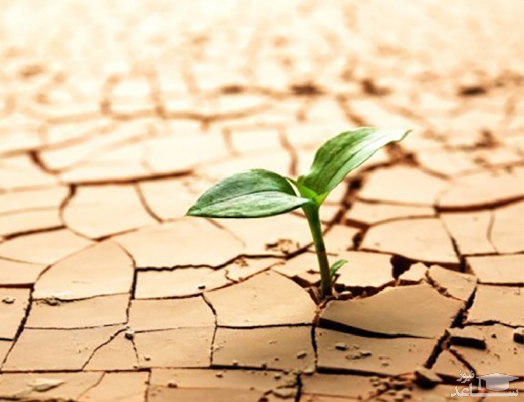 راهکارهای افزایش امید به زندگی