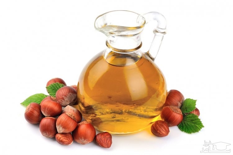 فواید روغن فندق بر زیبایی مو
