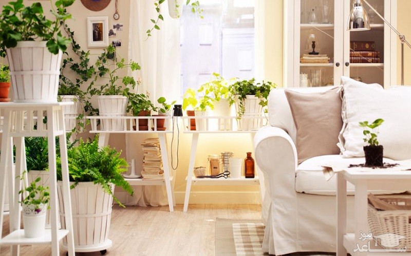 روش های دور کردن انرژی منفی از خانه