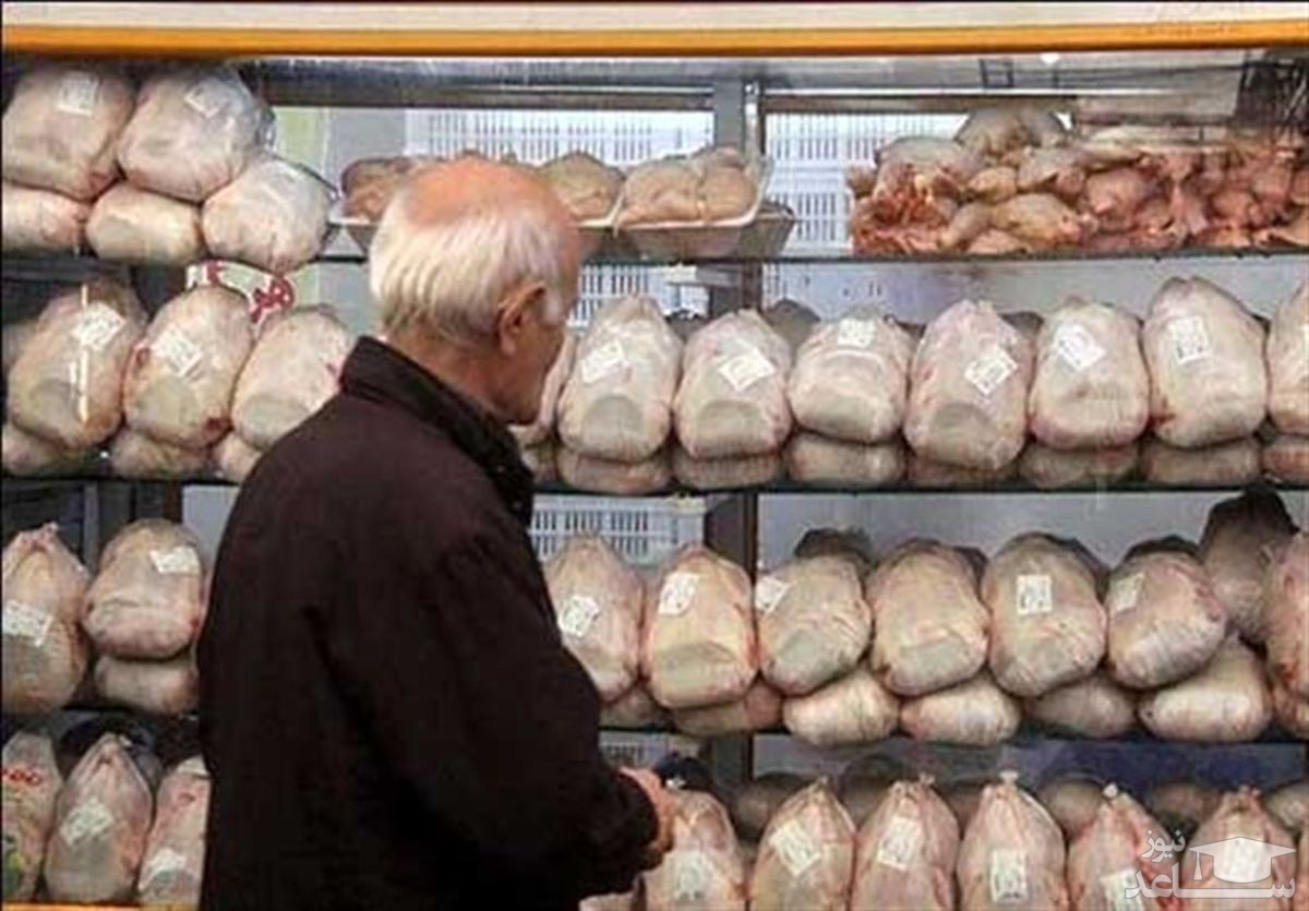 افزایش قیمت مصوب مرغ به ۳۱ هزار تومان