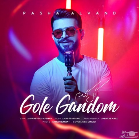 دانلود آهنگ گل گندم از پاشا الوند
