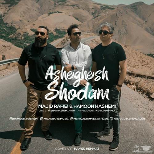 دانلود آهنگ عاشقش شدم از هامون هاشمی