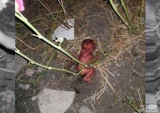 تصویری تلخ از نوزاد رها شده در صالح‌آباد