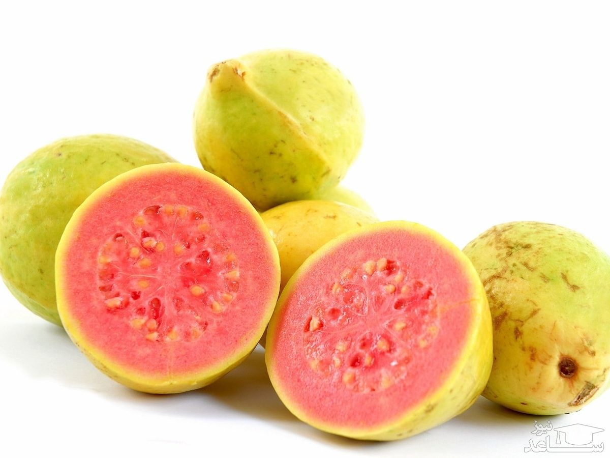 فواید عالی میوه گوارا برای سلامتی بدن