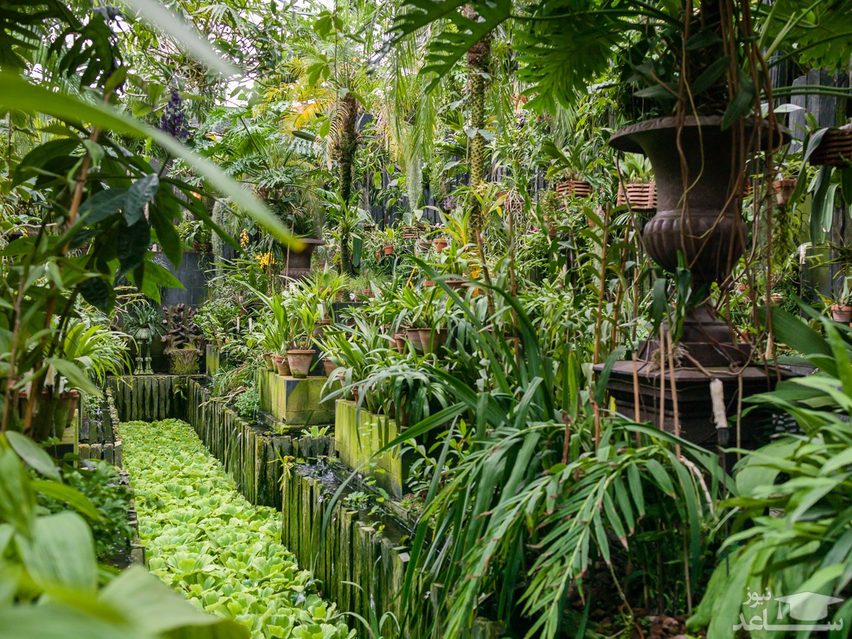 پارک پروانه کوالالامپور | KL Butterfly Park