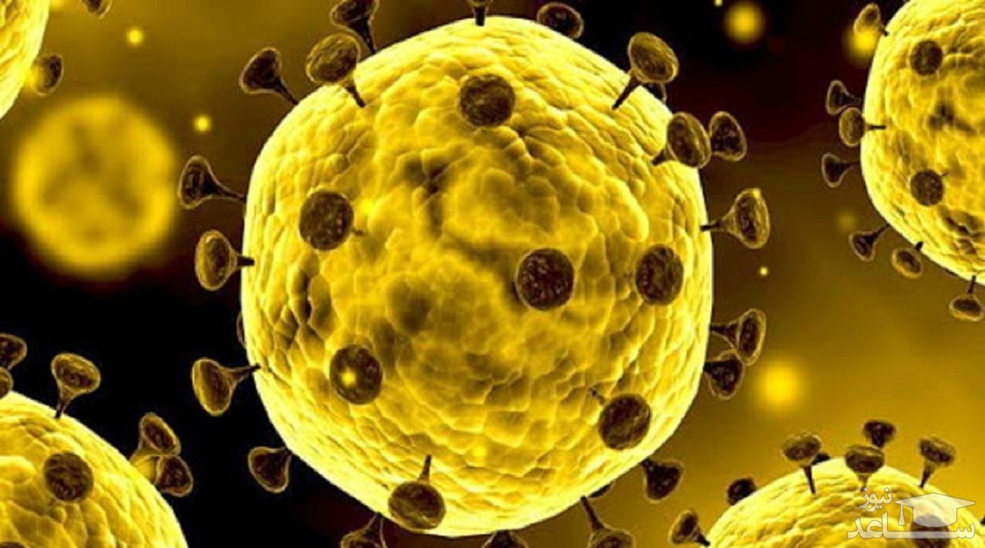 آمار کرونا در جهان تا ۱۴ اردیبهشت