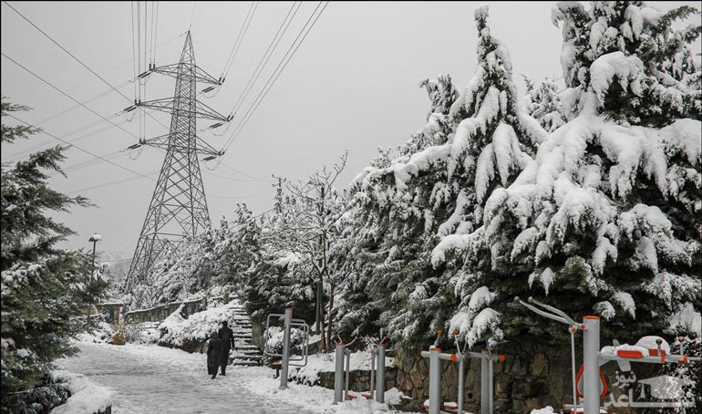 پارک جمشیدیه