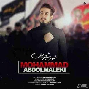 دانلود آهنگ شور شیرین از محمد عبدالمالکی