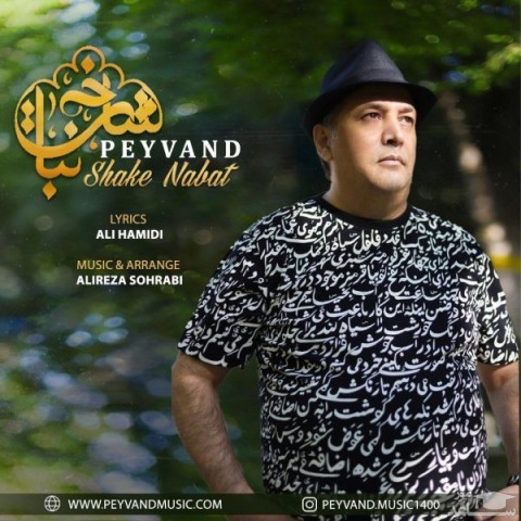 دانلود آهنگ شاخه نبات از پیوند