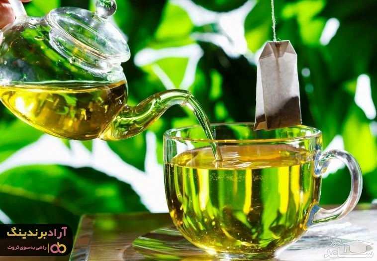 خرید چای سبز مرغوب به صورت مستقیم از تولید کننده