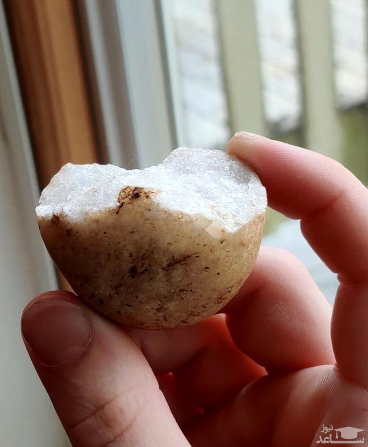 تصاویری جالب و دیدنی از سنگ‌ های خوراکی