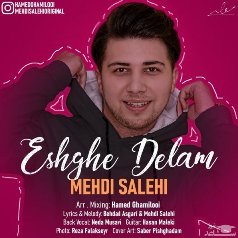 دانلود آهنگ عشق دلم از مهدی صالحی