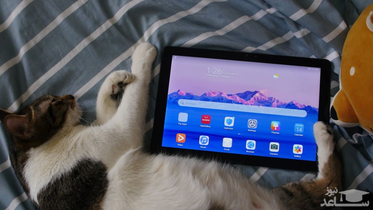 میت پد تی 10 اس