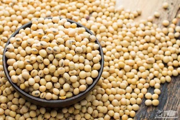 با فواید و مضرات سویا بیشتر آشنا شوید