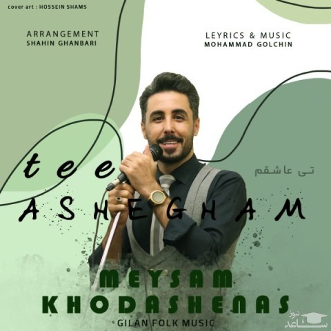 دانلود آهنگ تی عاشـقم از میثم خداشناس