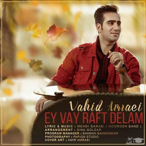 دانلود آهنگ ای وای رفت دلم از وحید امرایی