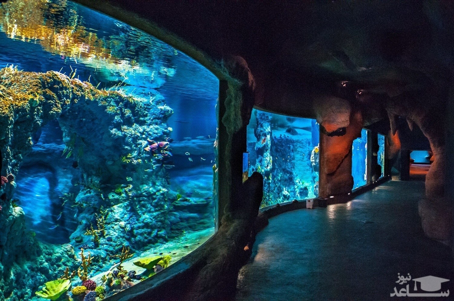 باغ وحش وروتسواف | The Wrocław Zoo