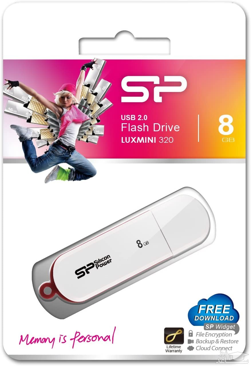 سیلیکون پاور مدل لوکس مینی 320