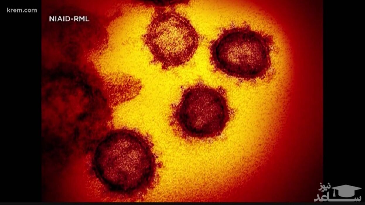 داروی ترکیبی ژاپن برای درمان کرونا