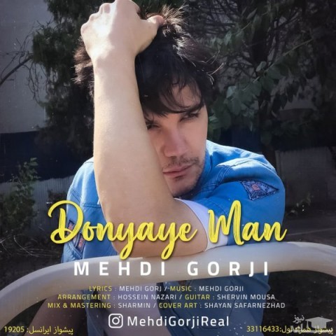 دانلود آهنگ دنیای من از مهدی گرجی