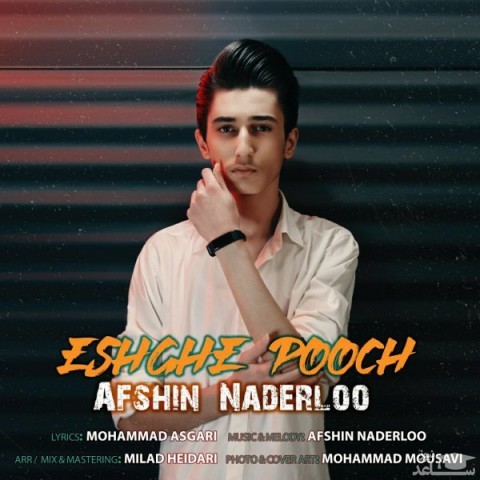 دانلود آهنگ عشق پوچ از افشین ندرلو