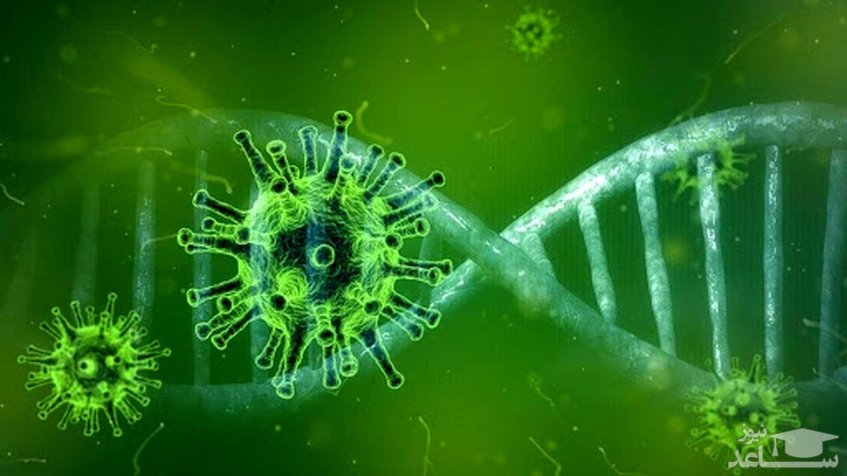 شناسایی ۱۷۳ مورد جدید مبتلا به کرونا ویروس در ایلام