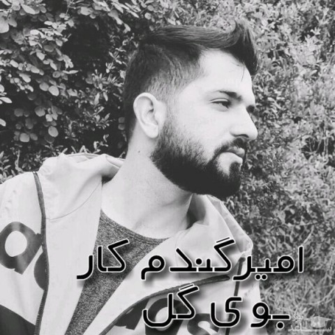 دانلود آهنگ بوی گل از امیر گندم کار