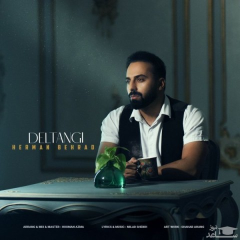 دانلود آهنگ دلتنگی از هرمان بهراد