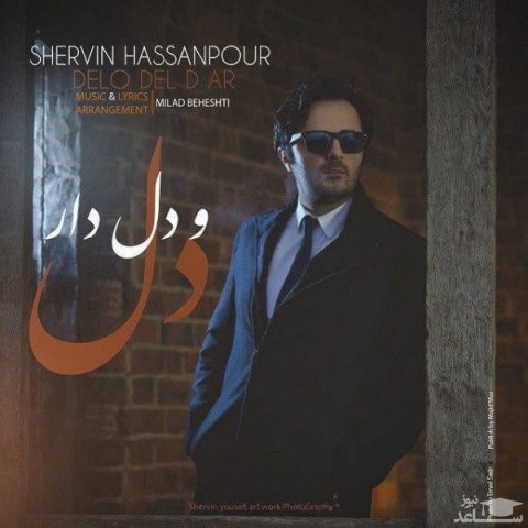 دانلود آهنگ دل و دلدار از شروین