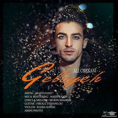 دانلود آهنگ گلایه از علی چکانی
