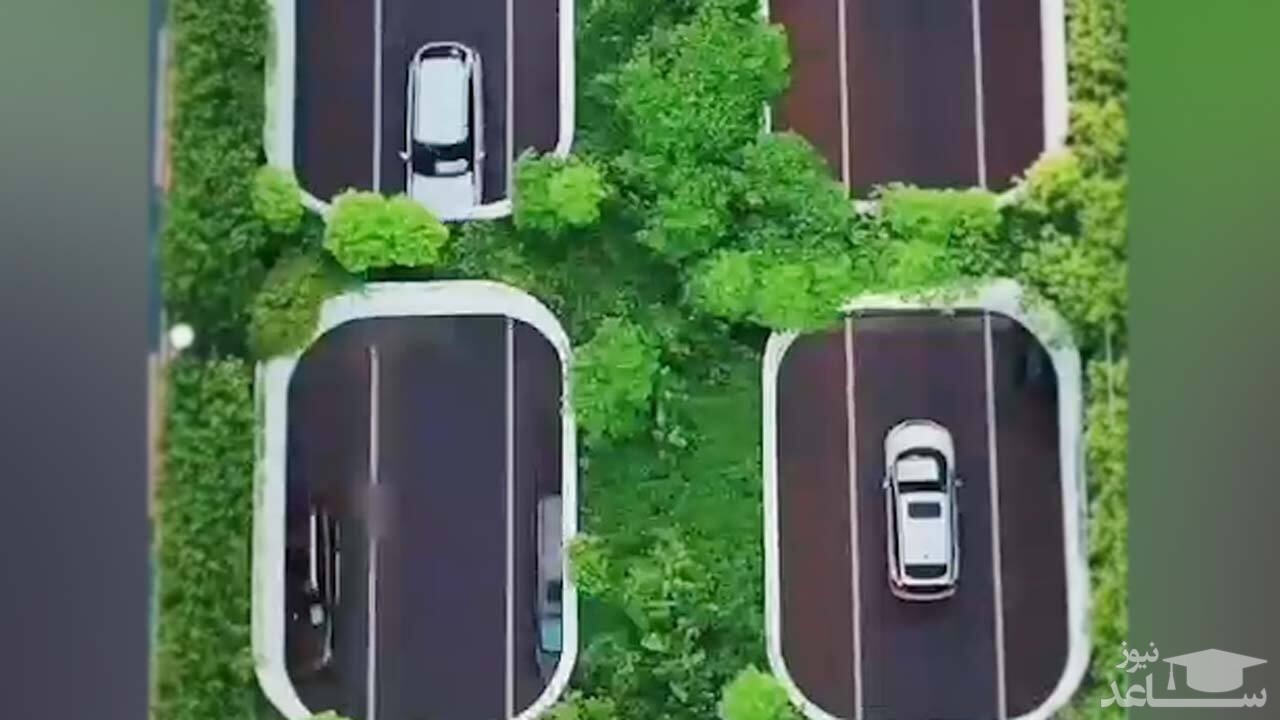 (فیلم) تونل زیرزمینی سبز در چین 