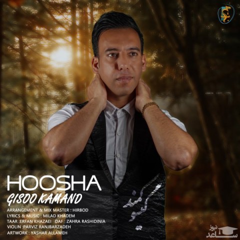 دانلود آهنگ گیسو کمند از هوشا