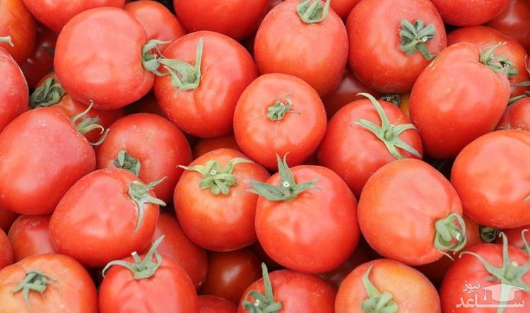 هزار وعده خوبان، یکی گوجه‌فرنگی را ارزان نکرد؟