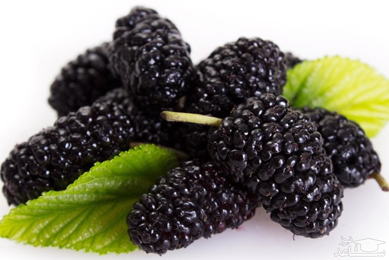 با فواید و مضرات شاهتوت بیشتر آشنا شوید