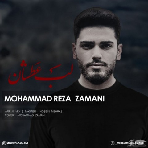 دانلود آهنگ لب عطشان از محمدرضا زمانی